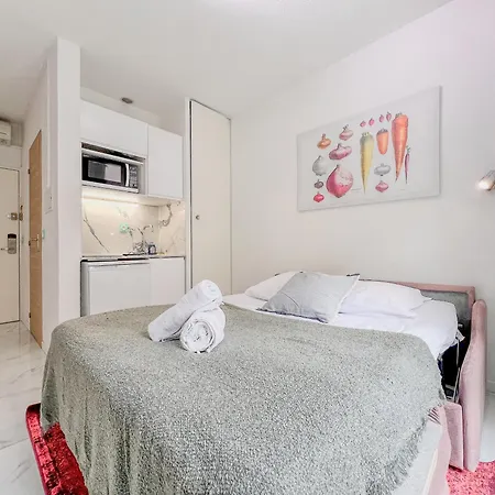 Magnifique Studio 3 A Cote De La A 2mn De La Nizza
